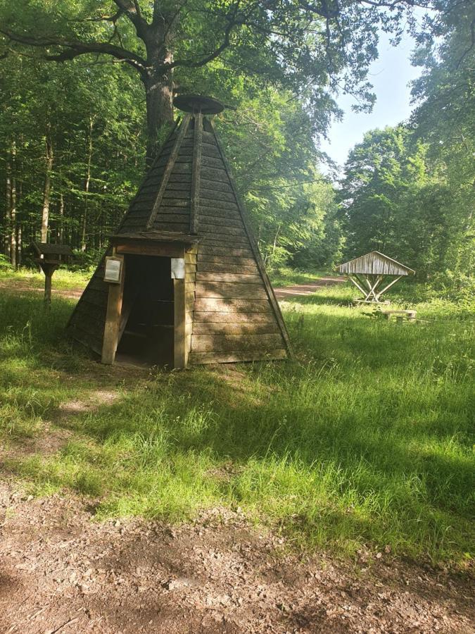 Ferienhaus Margarete Dankerode  Buitenkant foto
